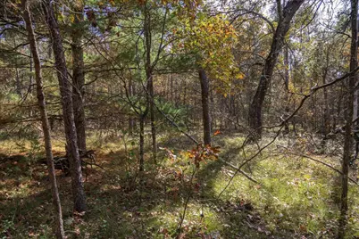 Lot 31 Morros Mile Road, Necedah, WI 54646 - Photo 16