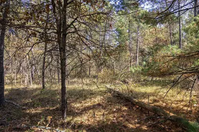Lot 31 Morros Mile Road, Necedah, WI 54646 - Photo 20