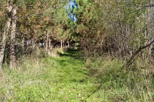 W4351 Anglim Rd, Lyndon Station, WI 53944 - Photo 18