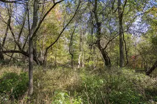 W4351 Anglim Rd, Lyndon Station, WI 53944 - Photo 24