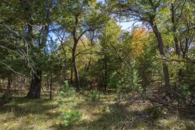 2476 18th Avenue, Friendship, WI 53934 - Photo 16