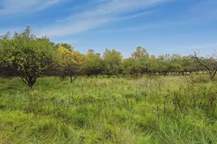 N245 Freeport Rd, Monroe, WI 53566 - Photo 48