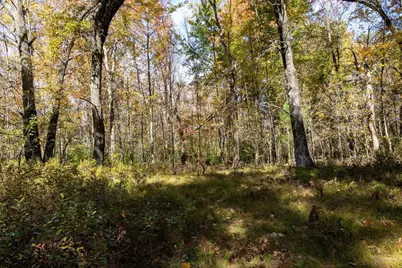 85+/- Acres 22nd Street, Necedah, WI 54646 - Photo 42