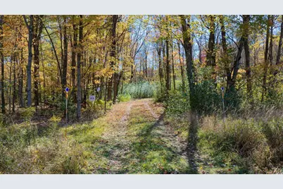 85+/- Acres 22nd Street, Necedah, WI 54646 - Photo 6