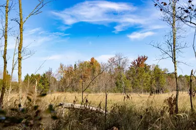 85+/- Acres 22nd Street, Necedah, WI 54646 - Photo 28