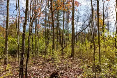 85+/- Acres 22nd Street, Necedah, WI 54646 - Photo 58