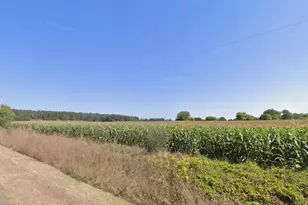 38 Acres Traut Rd, Rio, WI 53960 - Photo 1
