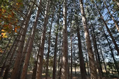 000 11th Ave, Adams, WI 53910 - Photo 20