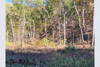 59213 Blackbow Creek Road, Ferryville, WI 54628 - Photo 32