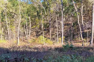 59213 Black Bow Creek Rd, Ferryville, WI 54628 - Photo 32
