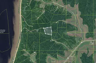 59213 Black Bow Creek Rd, Ferryville, WI 54628 - Photo 38