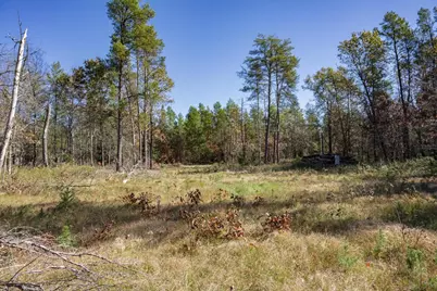 Lot 16 Morros Mile Road, Necedah, WI 54646 - Photo 4