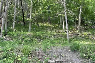 W10728 Tipperary Rd, Poynette, WI 53955 - Photo 16