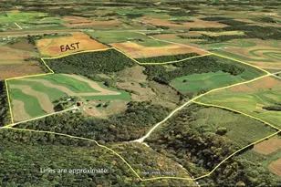 S7784 McNeilly Rd, Viroqua, WI 54665 - Photo 1