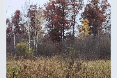 521 Cottonville Avenue, Friendship, WI 53934 - Photo 2