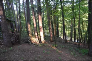 1330 21 3/4 Street, Cameron, WI 54822 - Photo 12