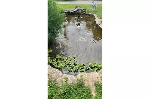 284 Elm St, Prescott, WI 54021 - Photo 36