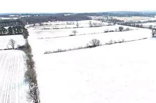 E8403 State Road 85, Mondovi, WI 54755 - Photo 54