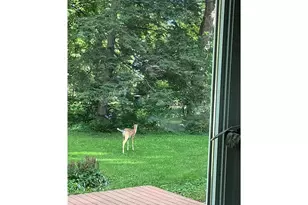 922 248th St, Osceola, WI 54020 - Photo 36