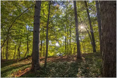 898 River Shore Lane, Amery, WI 54001 - Photo 46