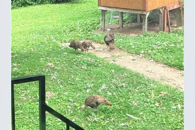 202 2nd Avenue, Frederic, WI 54837 - Photo 50