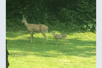 202 2nd Avenue, Frederic, WI 54837 - Photo 52