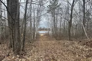 33227 State Road 35, Danbury, WI 54830 - Photo 38