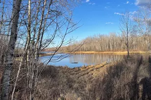 33227 State Road 35, Danbury, WI 54830 - Photo 40