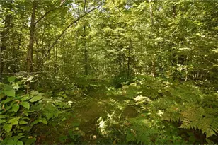 33227 State Road 35, Danbury, WI 54830 - Photo 36