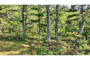 9491 Totogatic Rd, Cable, WI 54821 - Photo 20
