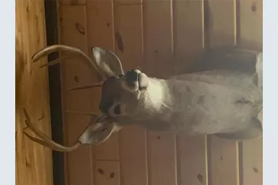 29031 French Road, Oakland, WI 54830 - Photo 36