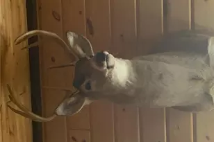 29031 French Rd, Oakland, WI 54830 - Photo 36