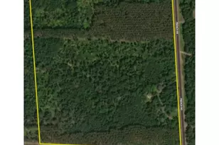 29031 French Rd, Oakland, WI 54830 - Photo 4