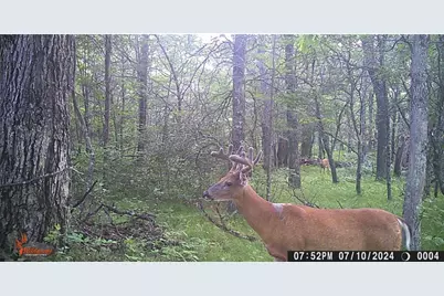 29031 French Road, Oakland, WI 54830 - Photo 32