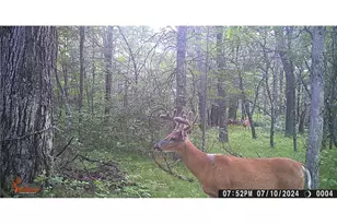 29031 French Rd, Oakland, WI 54830 - Photo 32