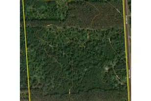 29031 French Rd, Oakland, WI 54830 - Photo 6