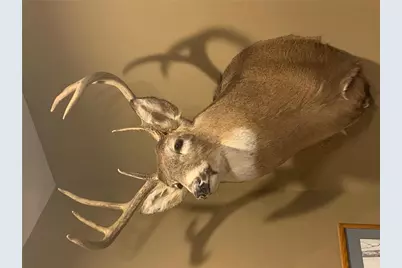 29031 French Road, Oakland, WI 54830 - Photo 34