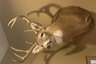 29031 French Rd, Oakland, WI 54830 - Photo 34