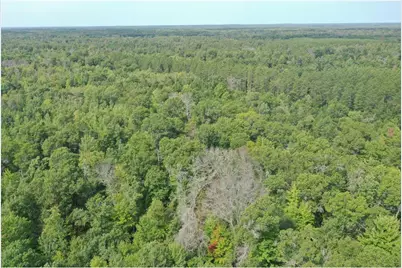 29031 French Road, Oakland, WI 54830 - Photo 30