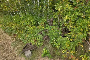 1449 3 1/2 Ave, Dallas, WI 54733 - Photo 48