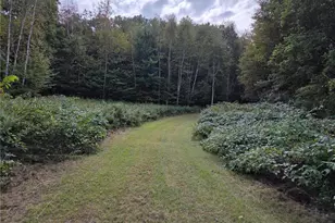 1449 3 1/2 Ave, Dallas, WI 54733 - Photo 44