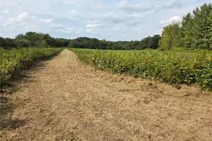 1449 3 1/2 Ave, Dallas, WI 54733 - Photo 46