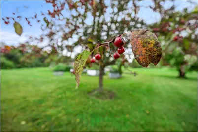 2419 230th Avenue, Saint Croix Falls, WI 54024 - Photo 92