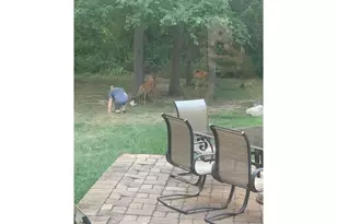 1224 US Hwy 12, Roberts, WI 54023 - Photo 58