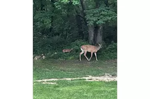 1224 US Hwy 12, Roberts, WI 54023 - Photo 60