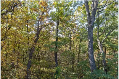 W10780 468th Avenue, Prescott, WI 54021 - Photo 36