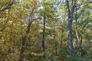 W10780 468th Ave, Prescott, WI 54021 - Photo 36