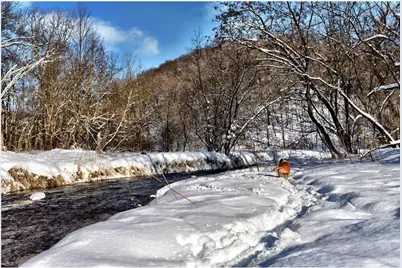 W10780 468th Avenue, Prescott, WI 54021 - Photo 64