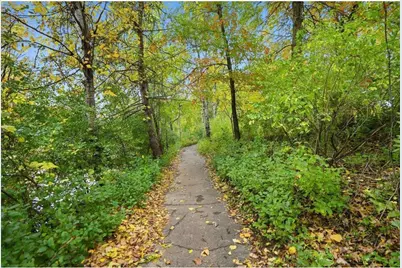 3640 Independence Avenue #61, Saint Louis Park, MN 55426 - Photo 22