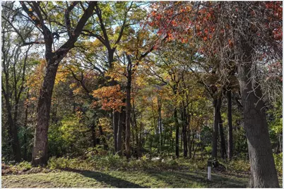 1221 Pearl Street, Prescott, WI 54021 - Photo 44